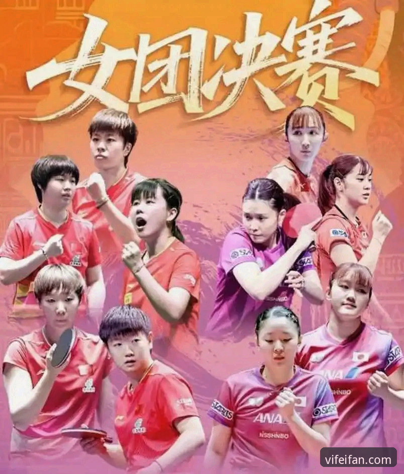 2026世乒赛中国女团首秀：用非凡体育App看陈幸同的实战指南